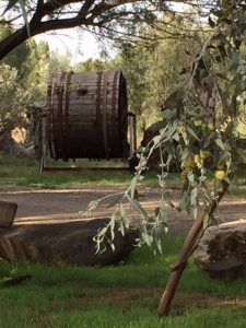 IMG_7075-e1447421378145